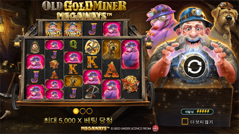 툰드라 포춘