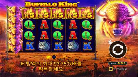 5 라이언즈 골드