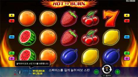 킹덤 오브 더 데드